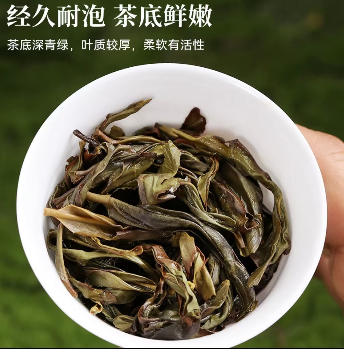 当季新品凤凰单丛茶2025雪片鸭屎香500g【清香型】清香奶香