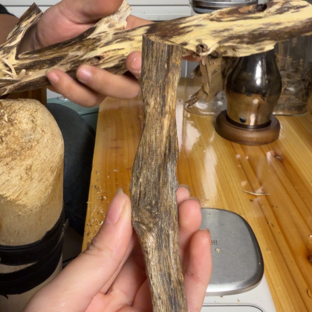 沉香白奇虫漏香12克