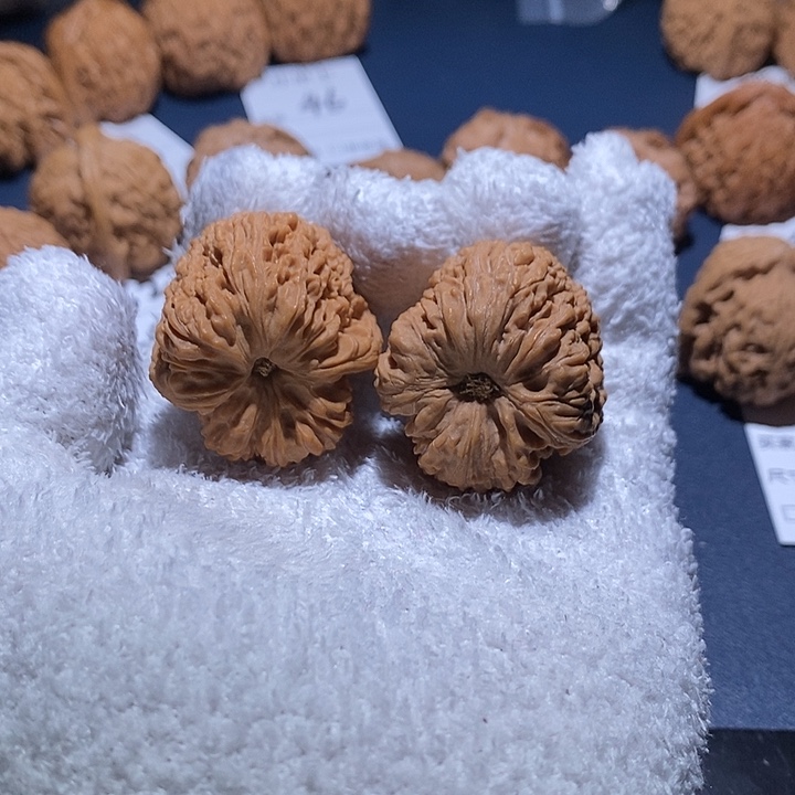 S***手核桃丑疆拉丝35尺