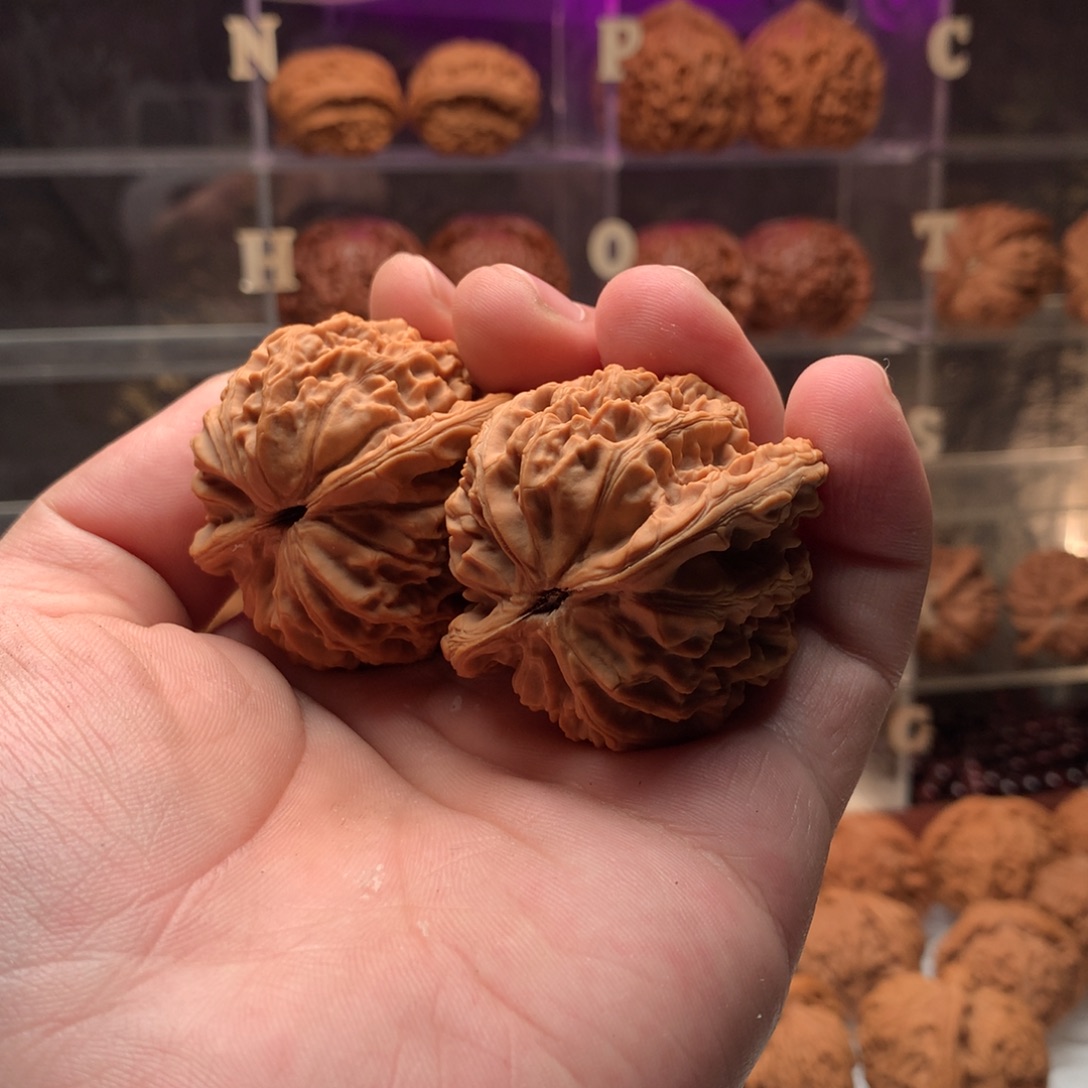 郑***骚吊坠文玩核桃核老闷66668888