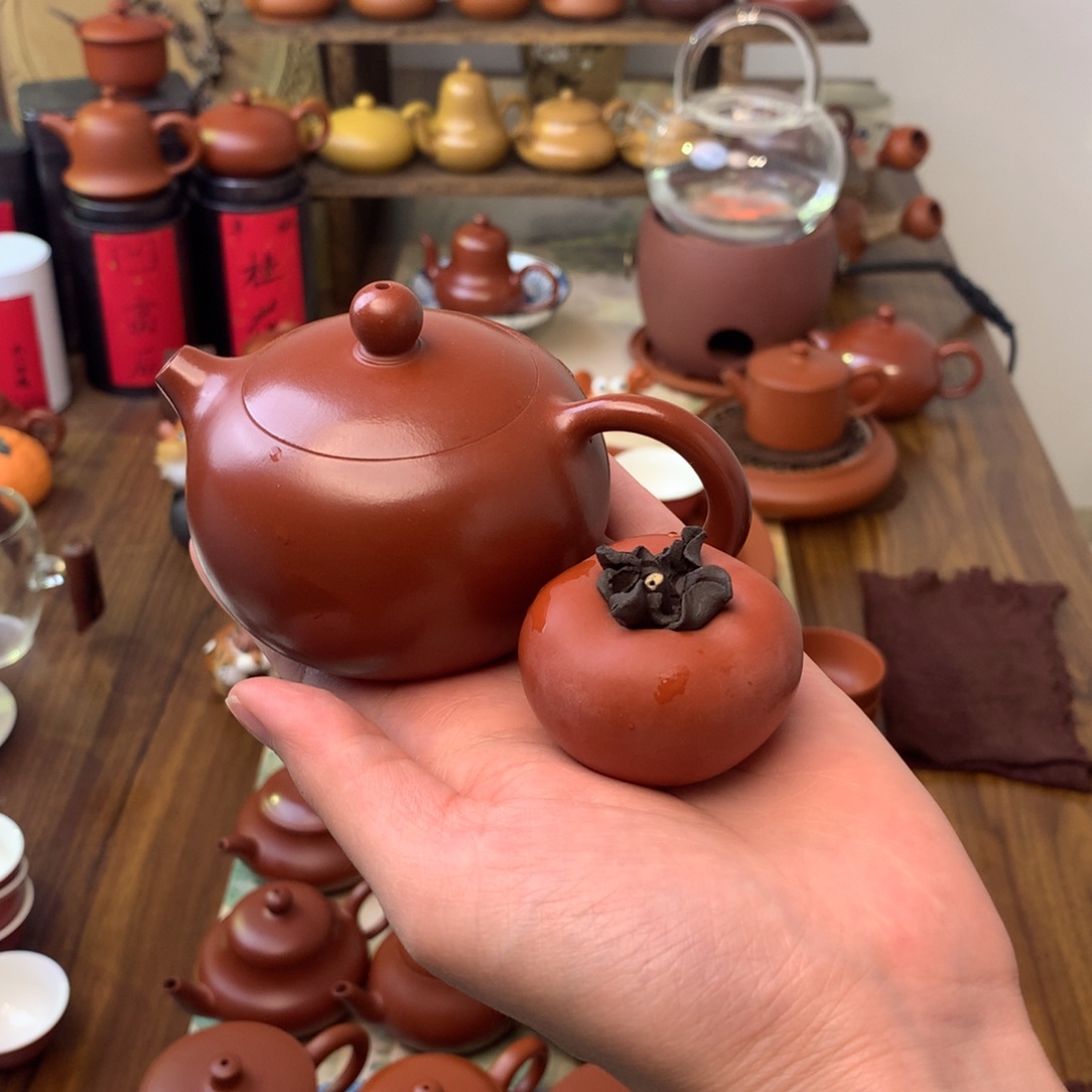 西施145cc➕柿子茶宠1个