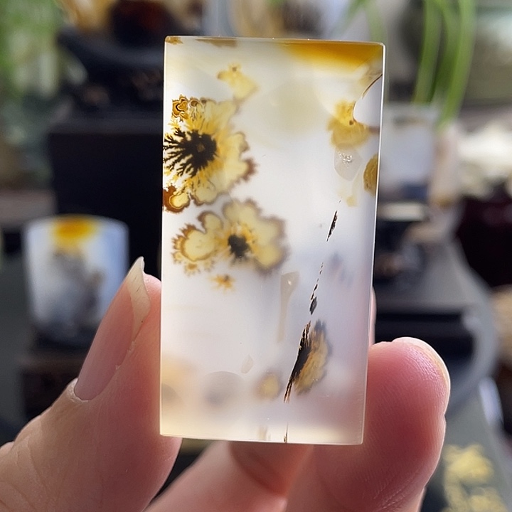 一***诺玛瑙/玉髓未镶嵌珠宝半成品