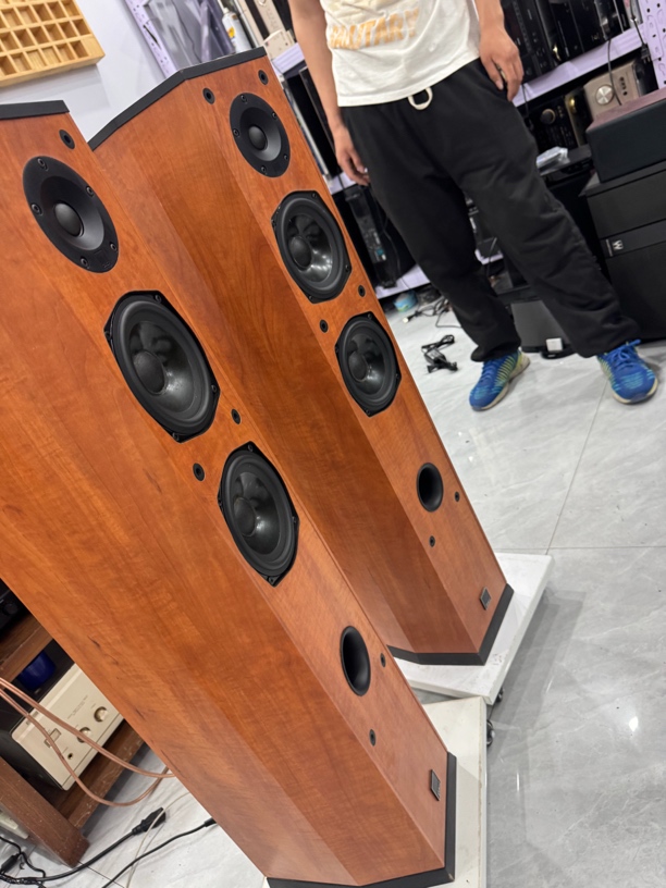 Dn落地音箱，运费自理，不支持无理由退货