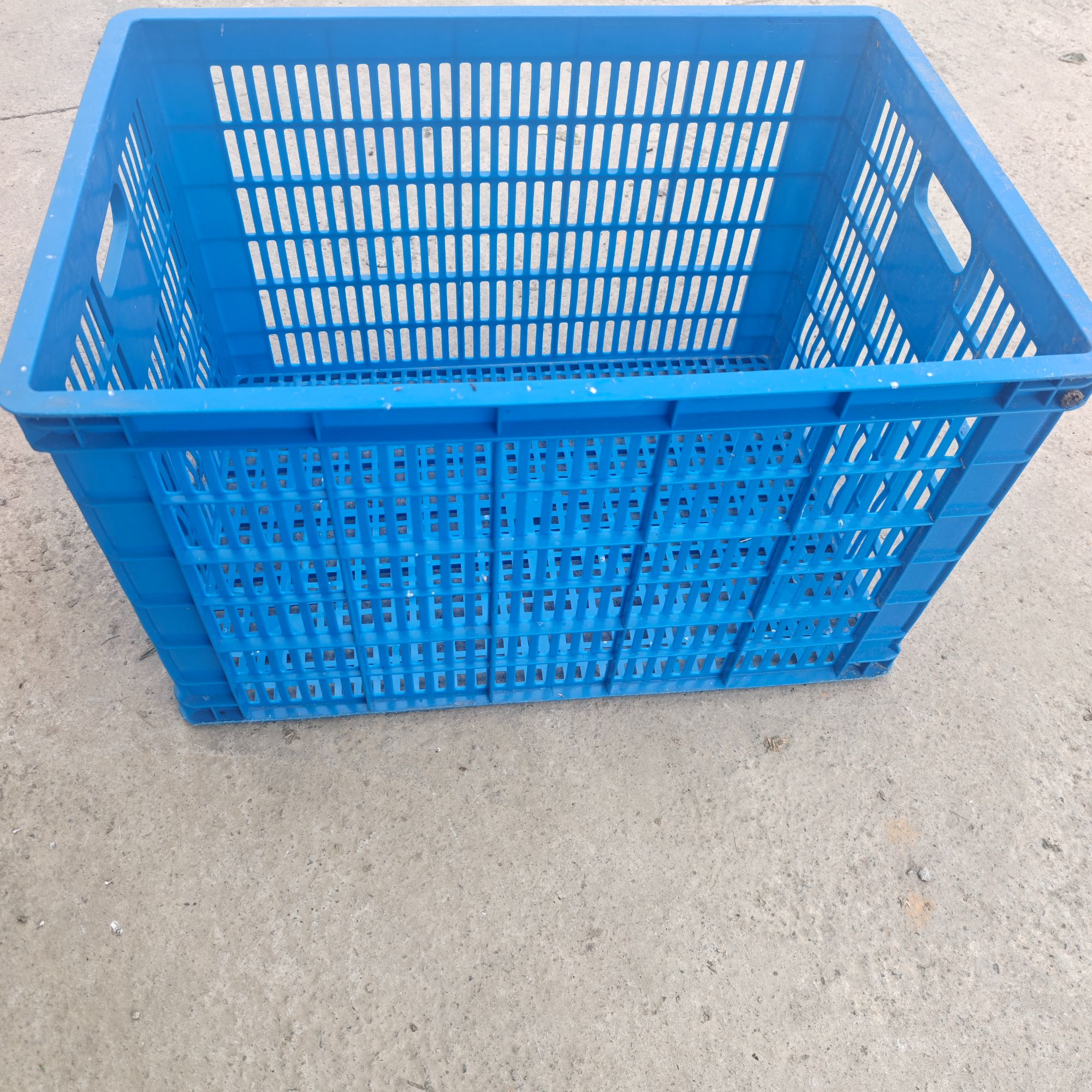 蓝色塑料筐，赠送两只5斤左右的黑天鹅（新疆、西藏、海南勿拍）