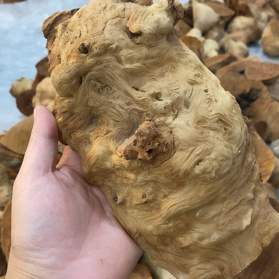 文***产荔枝木荔枝木原料