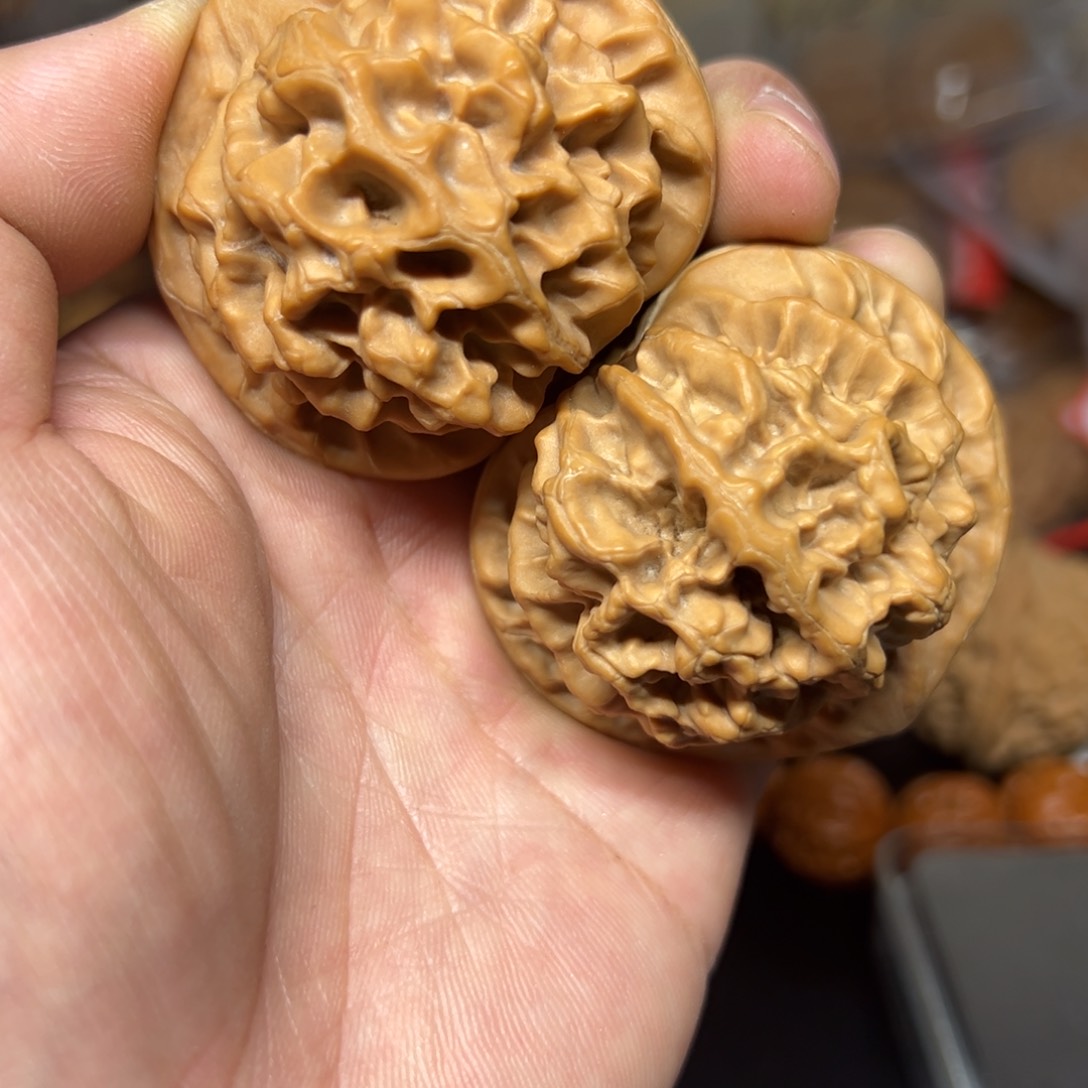 文玩核桃龙鳞一对50