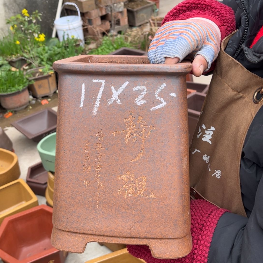 紫砂花盆盆景艺术