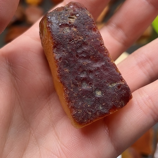 定制琥珀焦皮料鸡油黄乌克兰