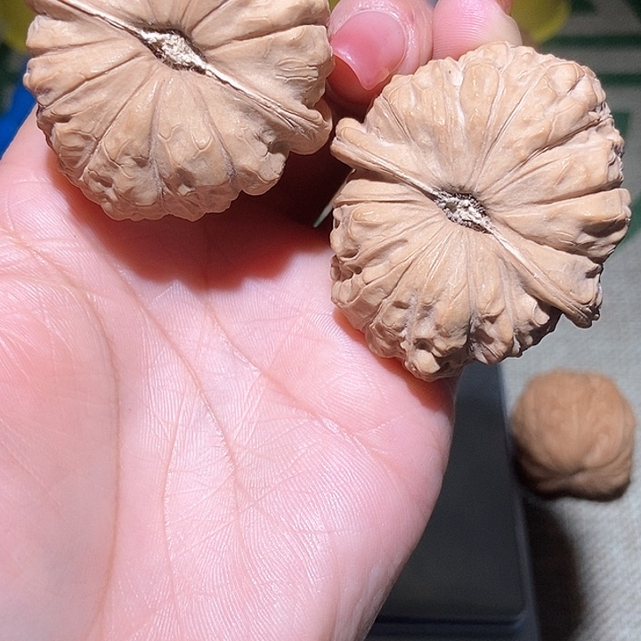 44尺寸全品南瓜墩！好运连连