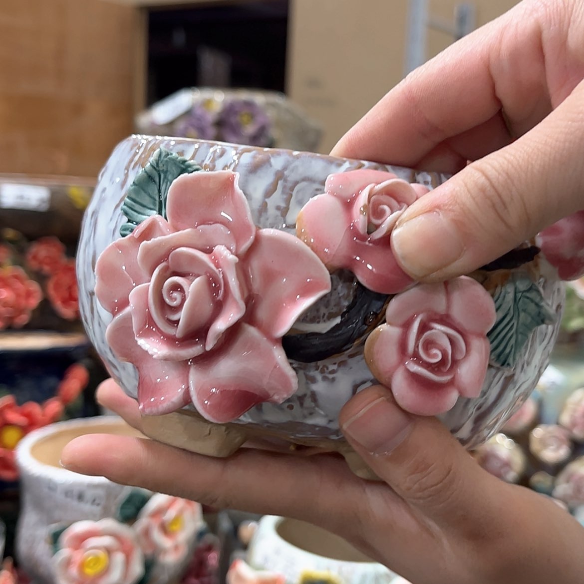 【闪购商品】红陶福利