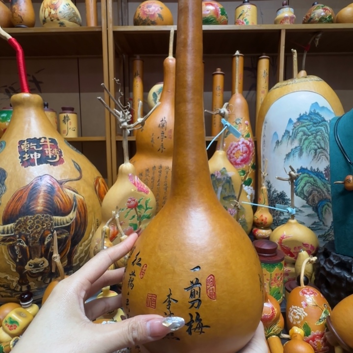 A***龙11111111111111111111