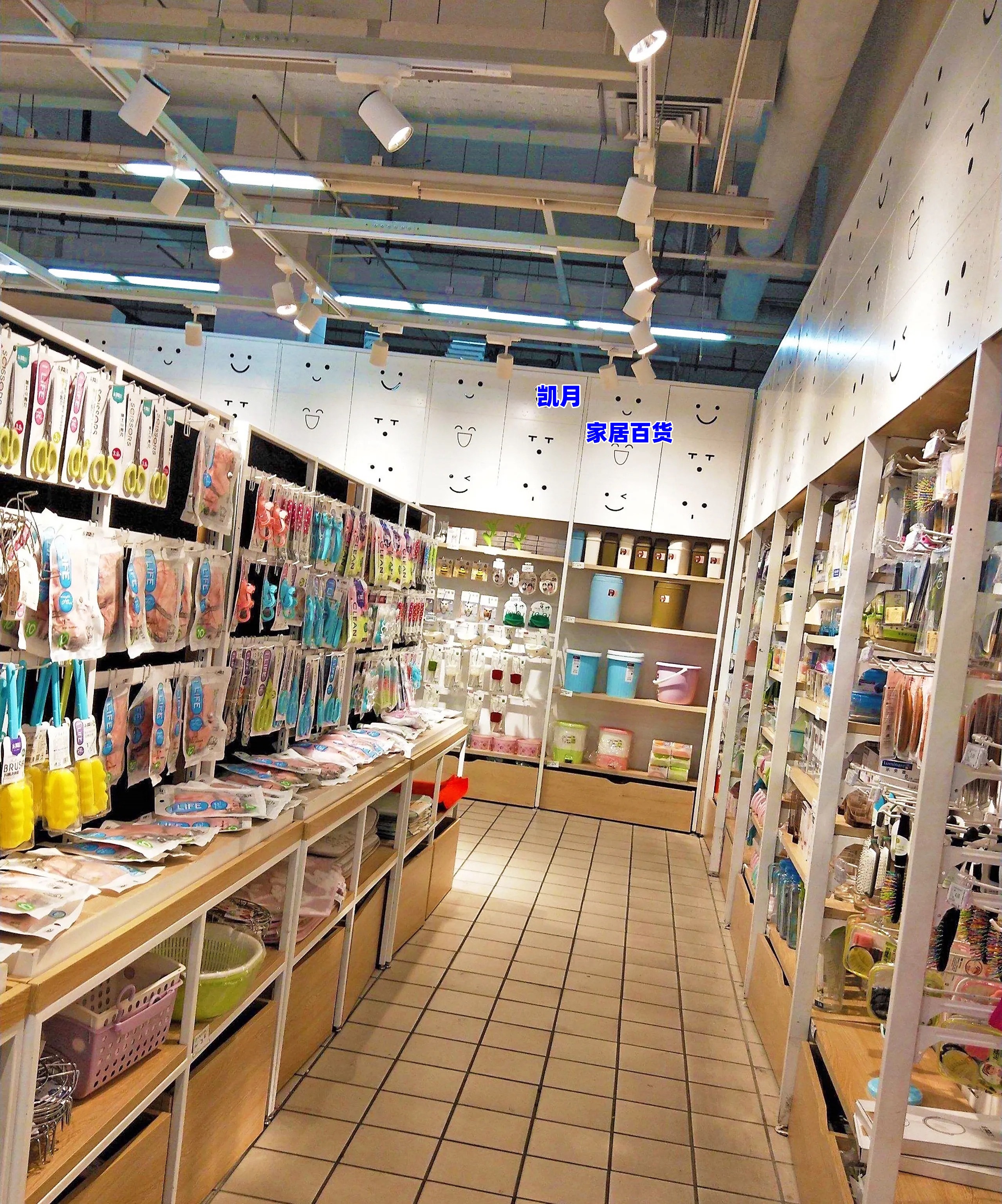 251-300  百货收纳 类抹 布类家居用品（以直播间展示为准)