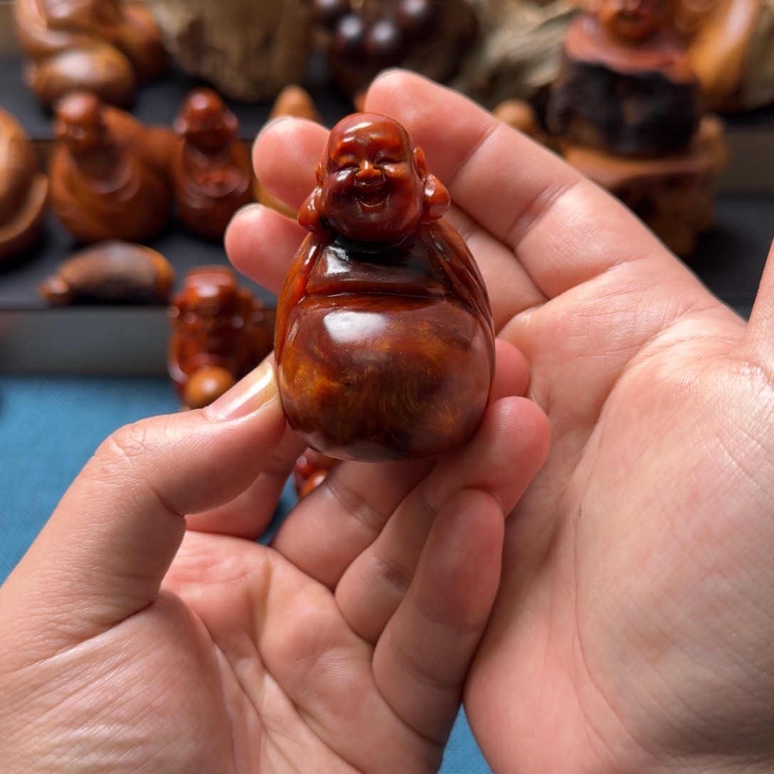 换***器柏木（崖柏）太行崖柏