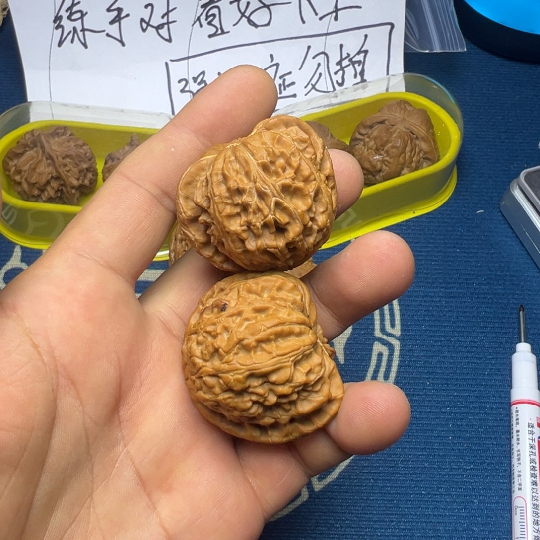 大叶紫檀（黑酸枝木类）