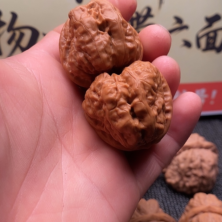 核桃延庆一代蛤蟆头打底