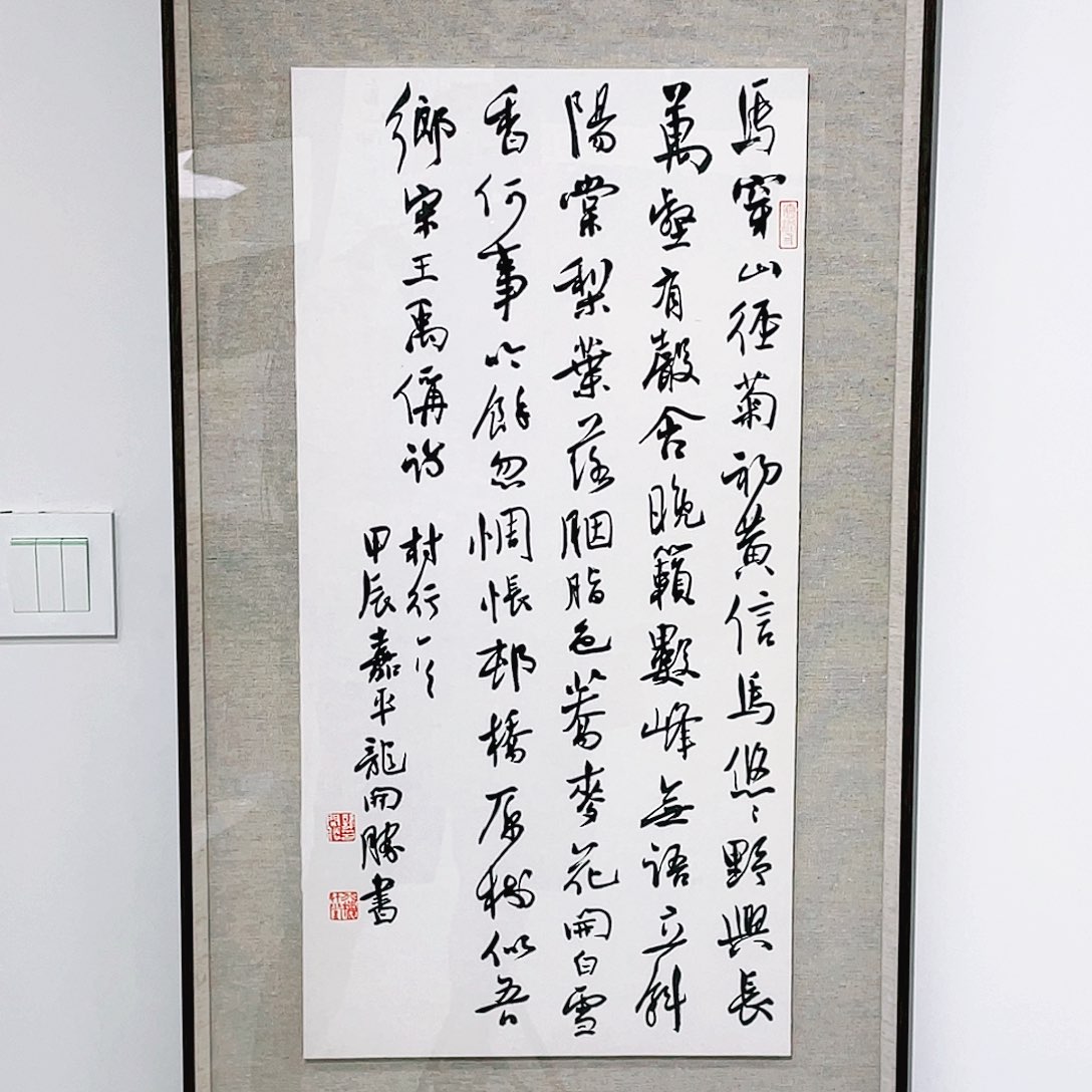 书法半醒斋书法作品