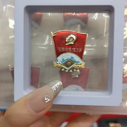 其他普通金属红色收藏纪念章1个