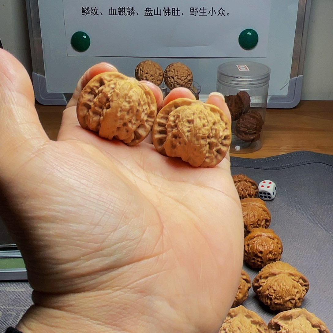 猴头核桃把件野狼37尺