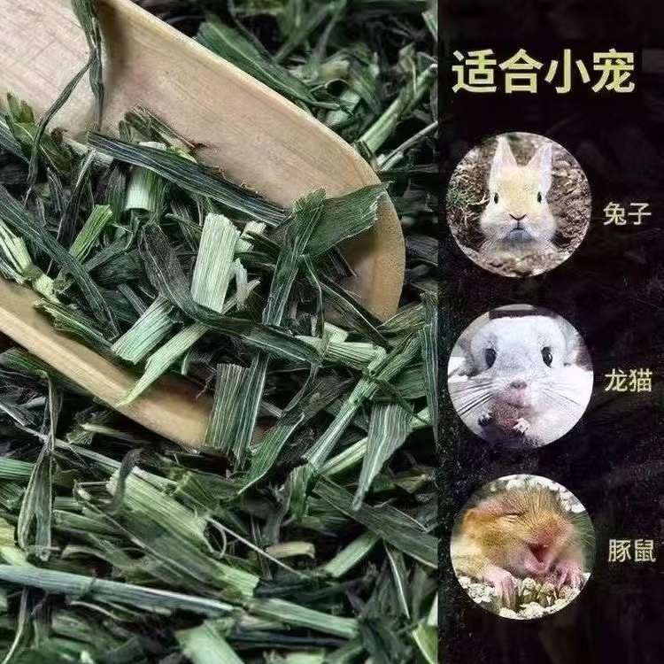 烘干大麦草段适合兔子龙猫猪等宠物食用的优质牧草