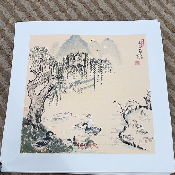 国画花鸟等多种形式50.50