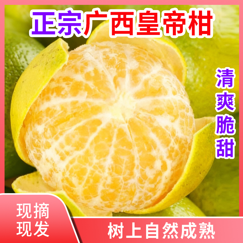 现摘新鲜广西皇帝柑薄皮贡柑清爽脆甜当季水果配开果器