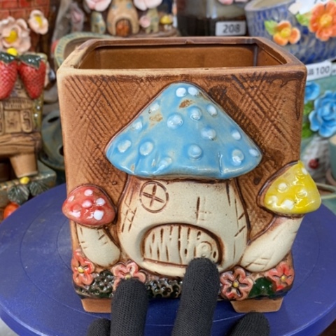 【闪购商品】红陶1