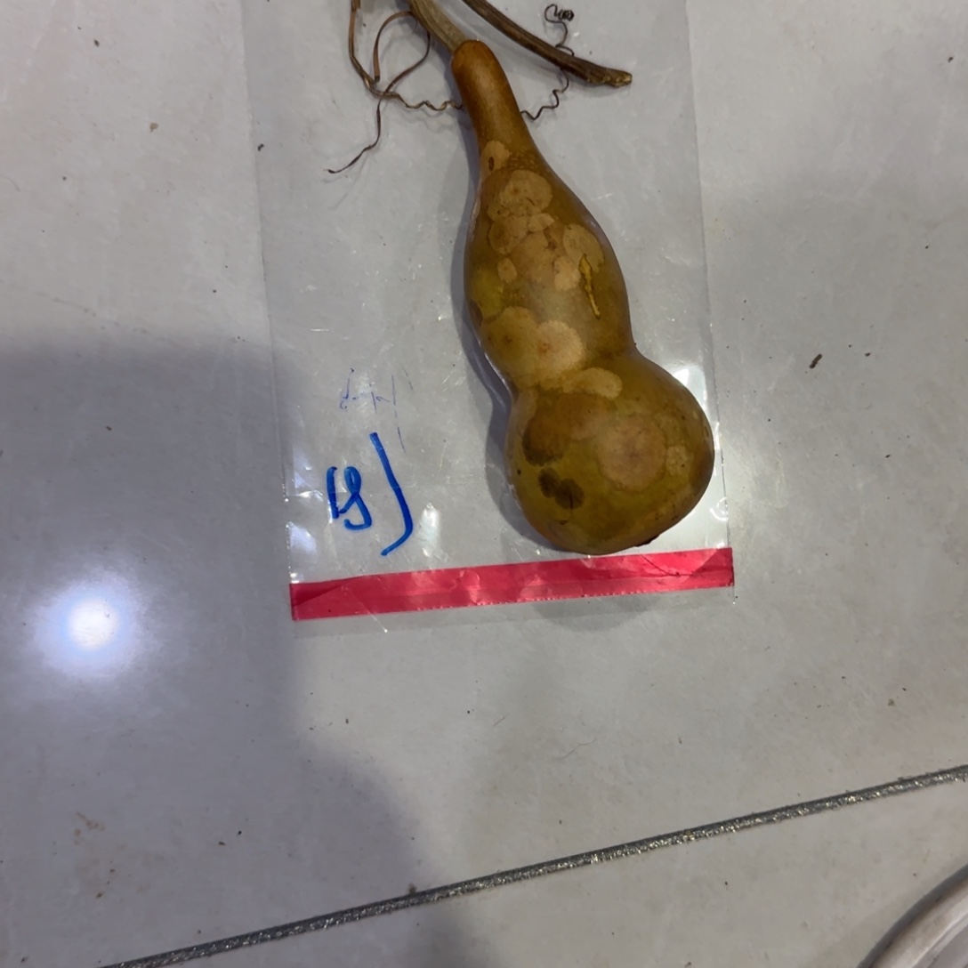 文***涛葫芦吧考虑咯来咯琢磨乐乐乐乐