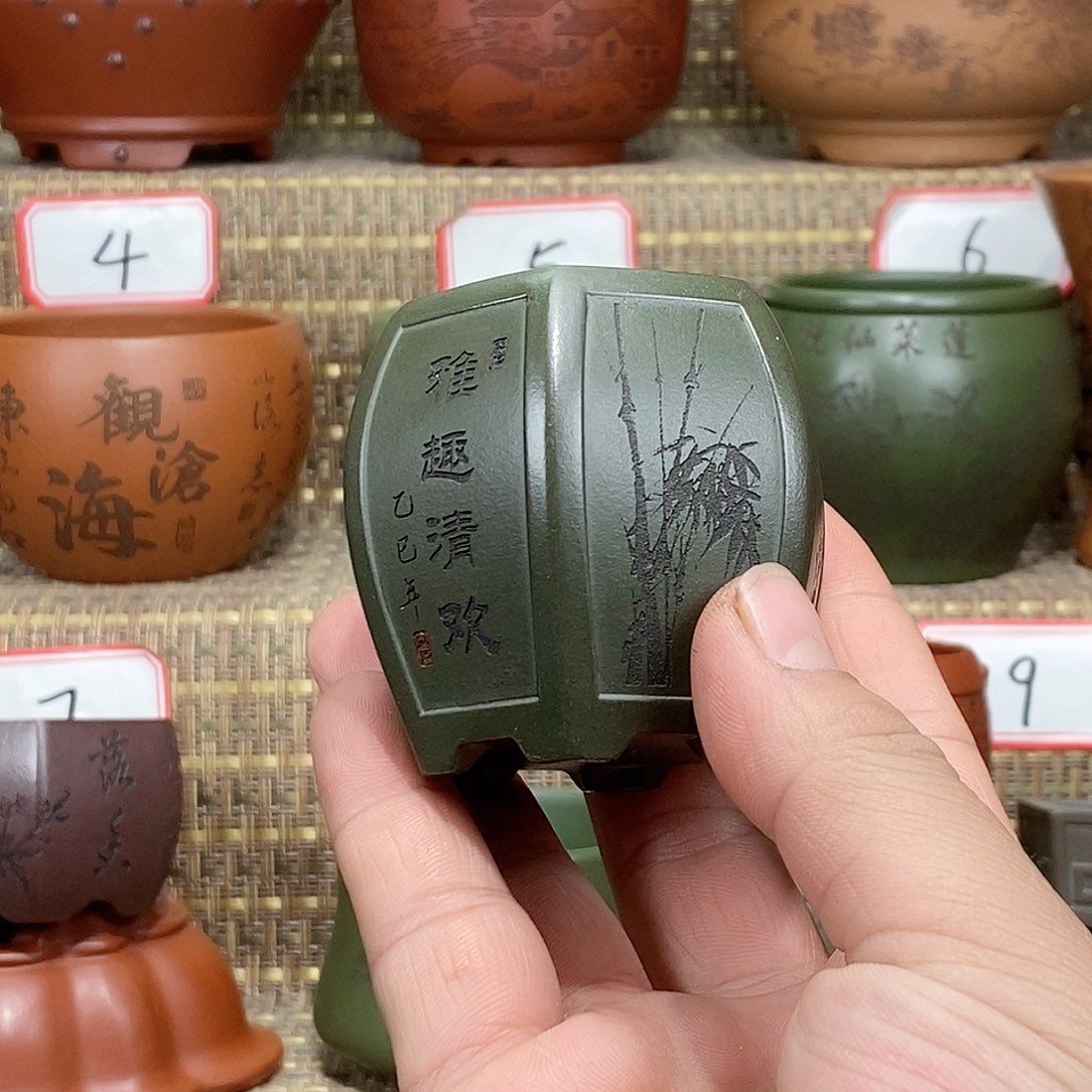 紫砂花盆我在等他