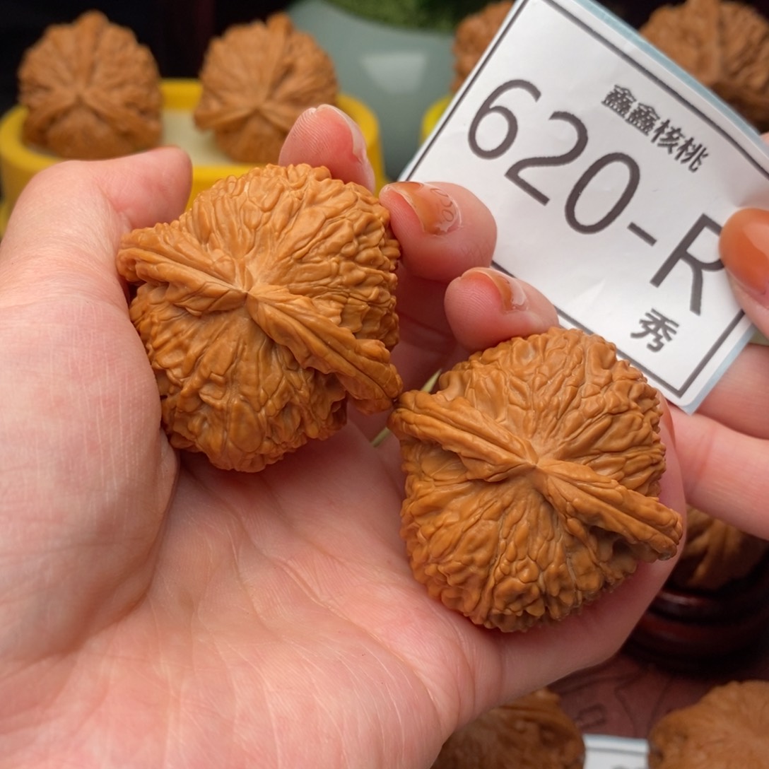 文玩核桃把件白狮42