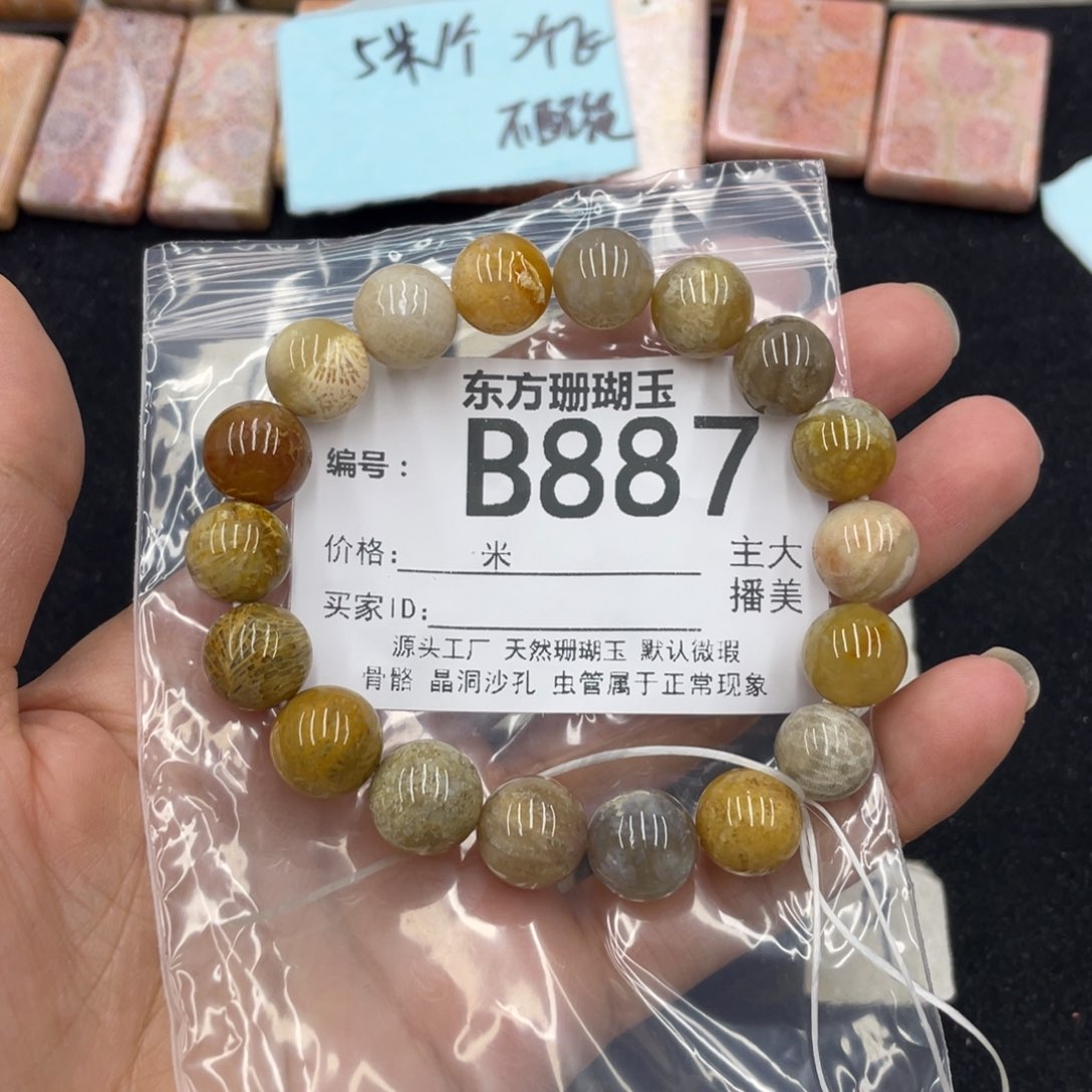 硅化珊瑚（珊瑚玉）颈饰合金