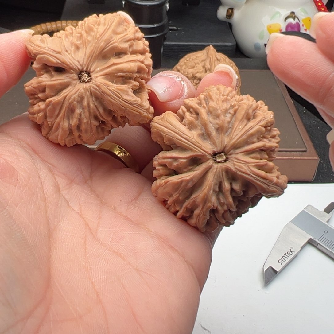 文玩核桃把件虎头王43