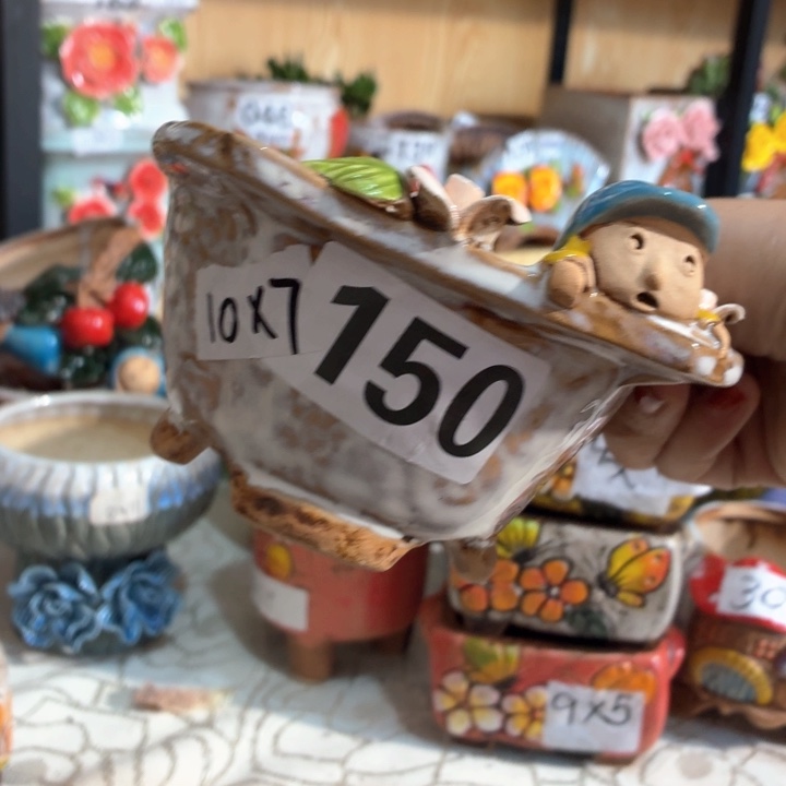 多肉花盆满15包邮