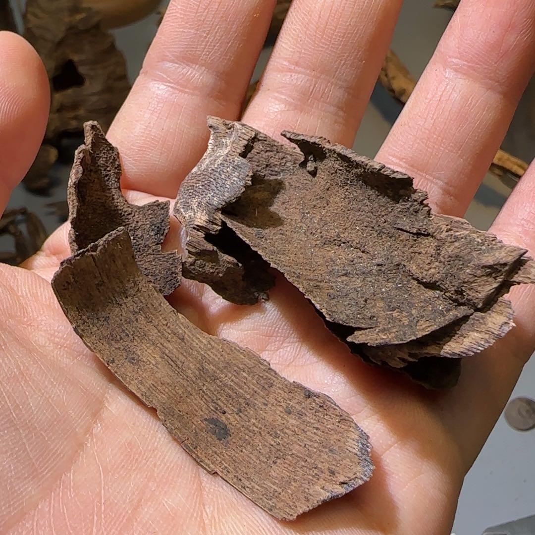 沉香碎屑沉香海南黎母山沉水3.93克