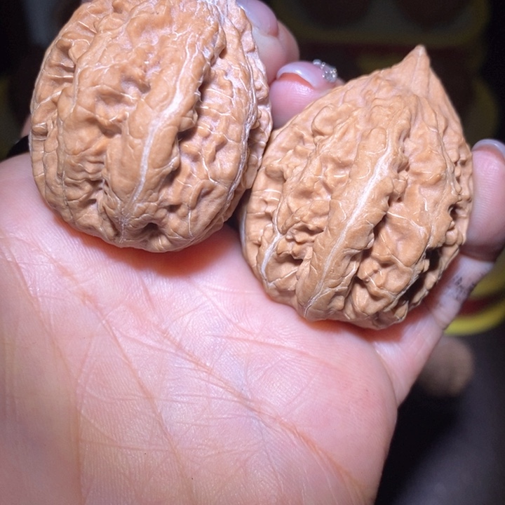 文玩核桃把件东北野生楸子小美131