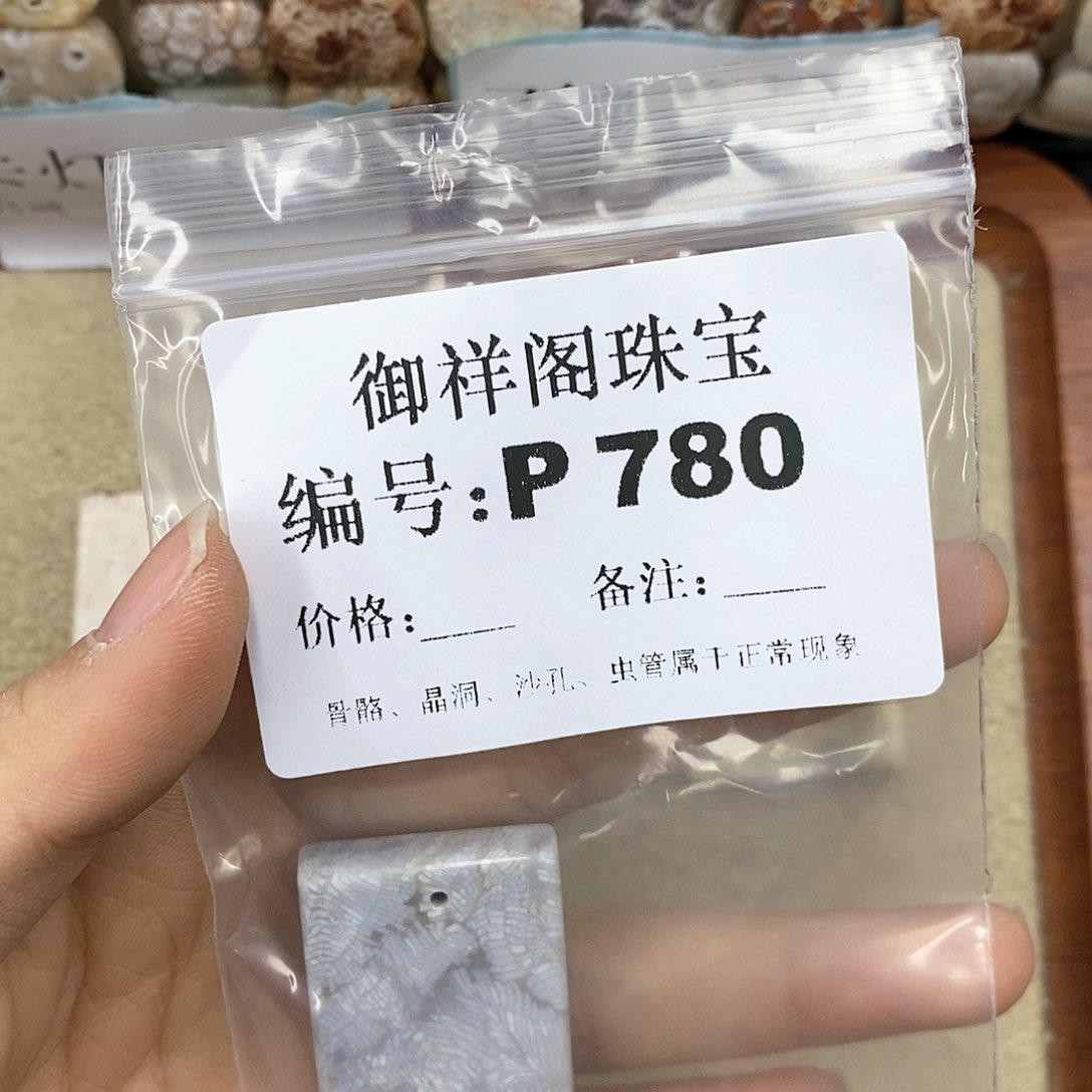 硅化珊瑚（珊瑚玉）P未镶嵌元*