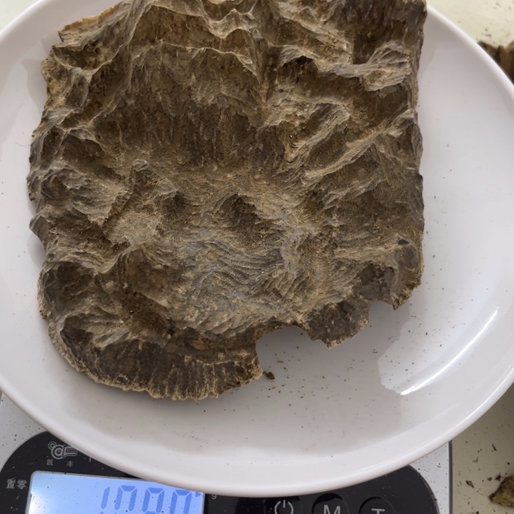 沉香木摆件海南沉香水格109克