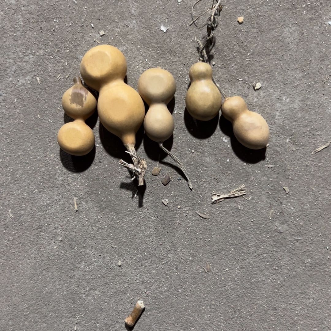 葫芦文玩葫芦明轩葫芦