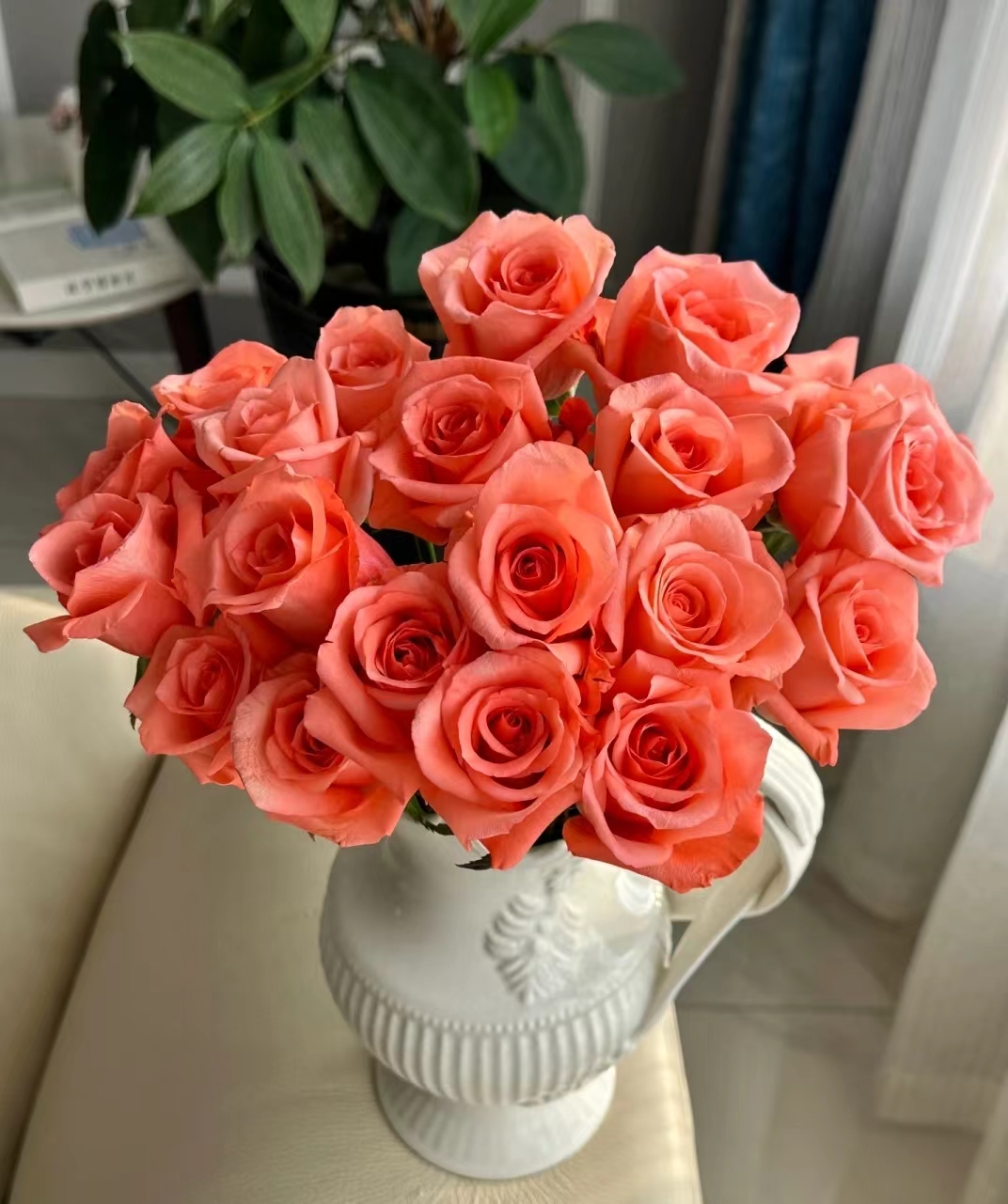 【节日限定鲜花三件套餐】云南直发玫瑰鲜花 水养鲜切花DIY插花