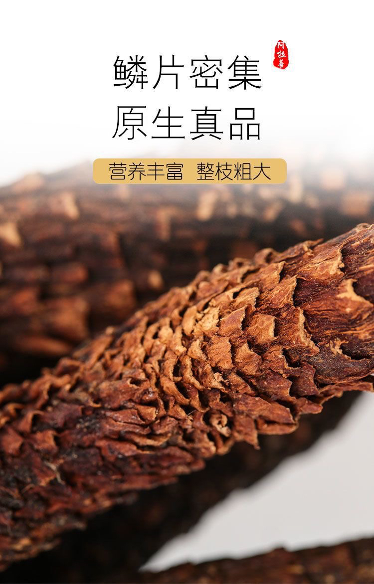 【3年生左右内蒙古直发正品】牧民家秋冬自挖搭配宁夏中宁枸杞