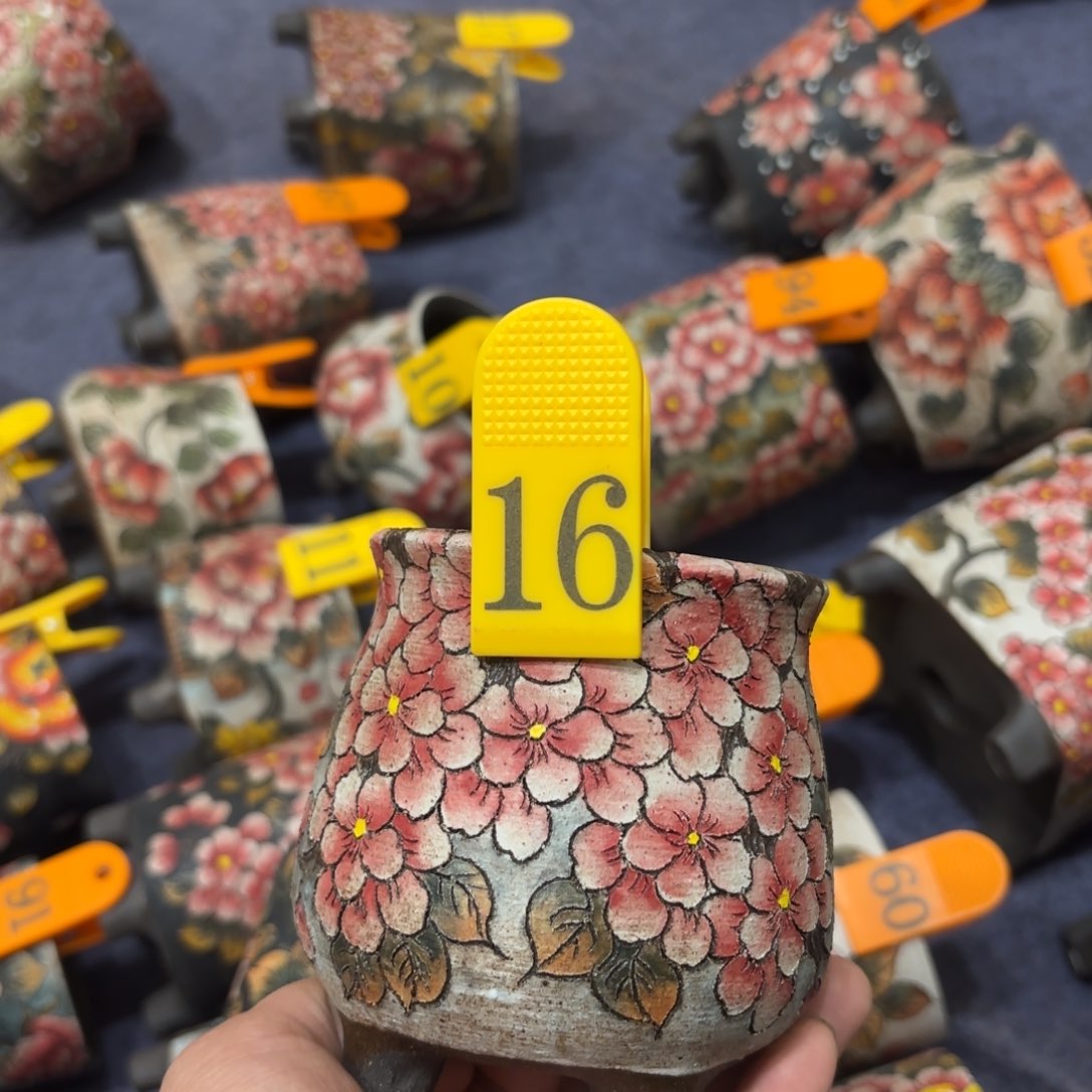 缸张*-哈哈哈哈哈哈哈哈哈哈哈