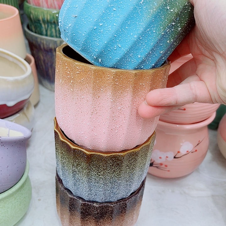 多肉植物陶瓷花盆