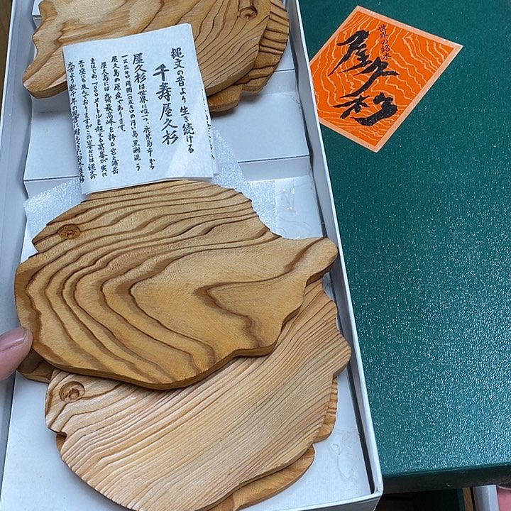 瓷片E50 雅舍甄选优质大漂亮