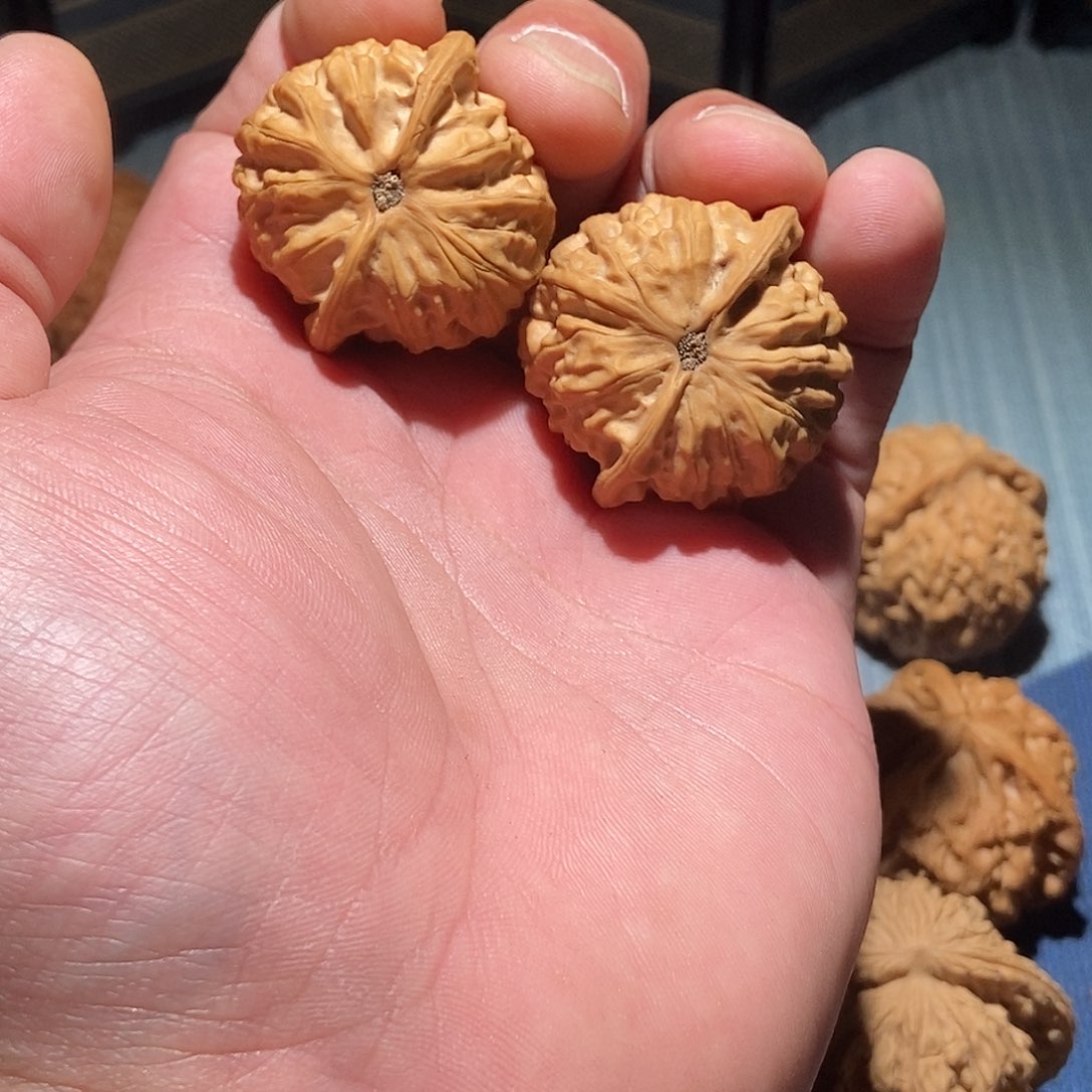 桃核吊坠要***肉37全品金牛