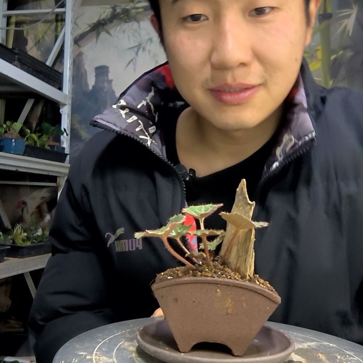 池****n中青园艺一物一拍花484