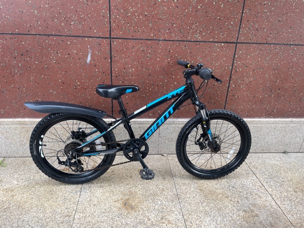 XTC20D山地车，儿童小山地车