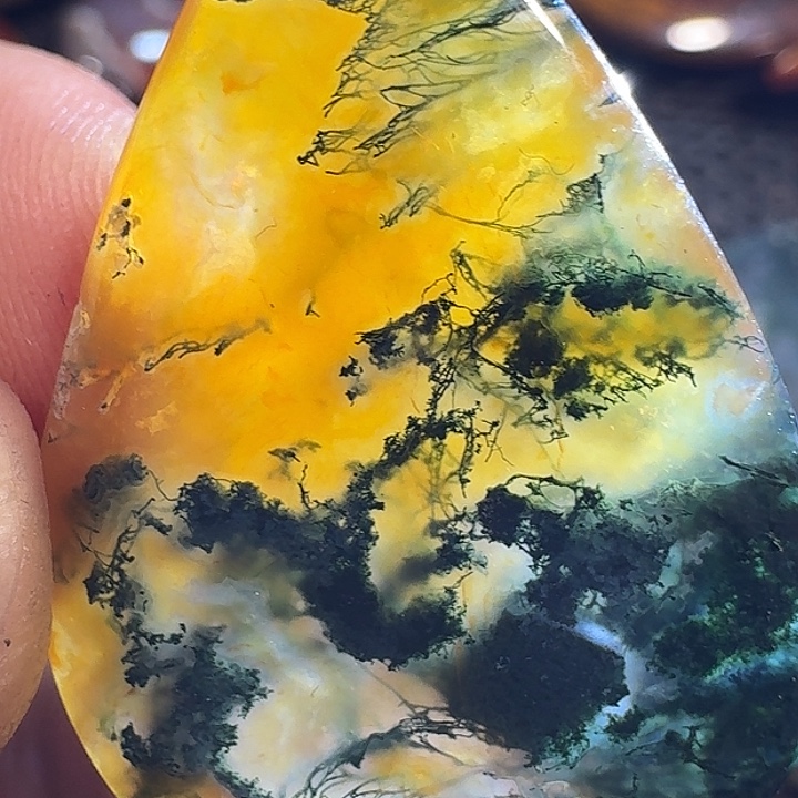 李***发玛瑙/玉髓未镶嵌颈饰