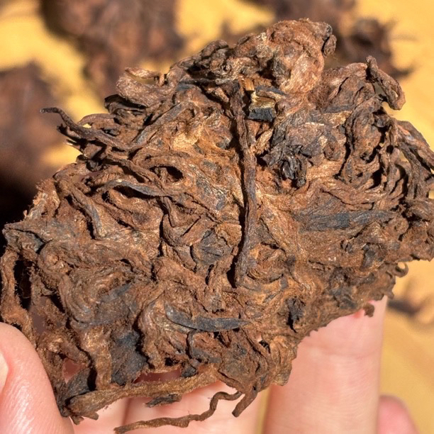 【锅底塘“梅子香”古树熟茶头】2015年古树熟茶