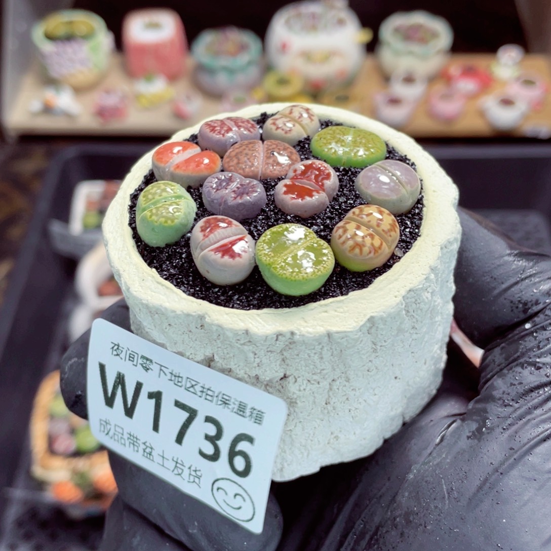 夜间零下地区拍保温箱w1736