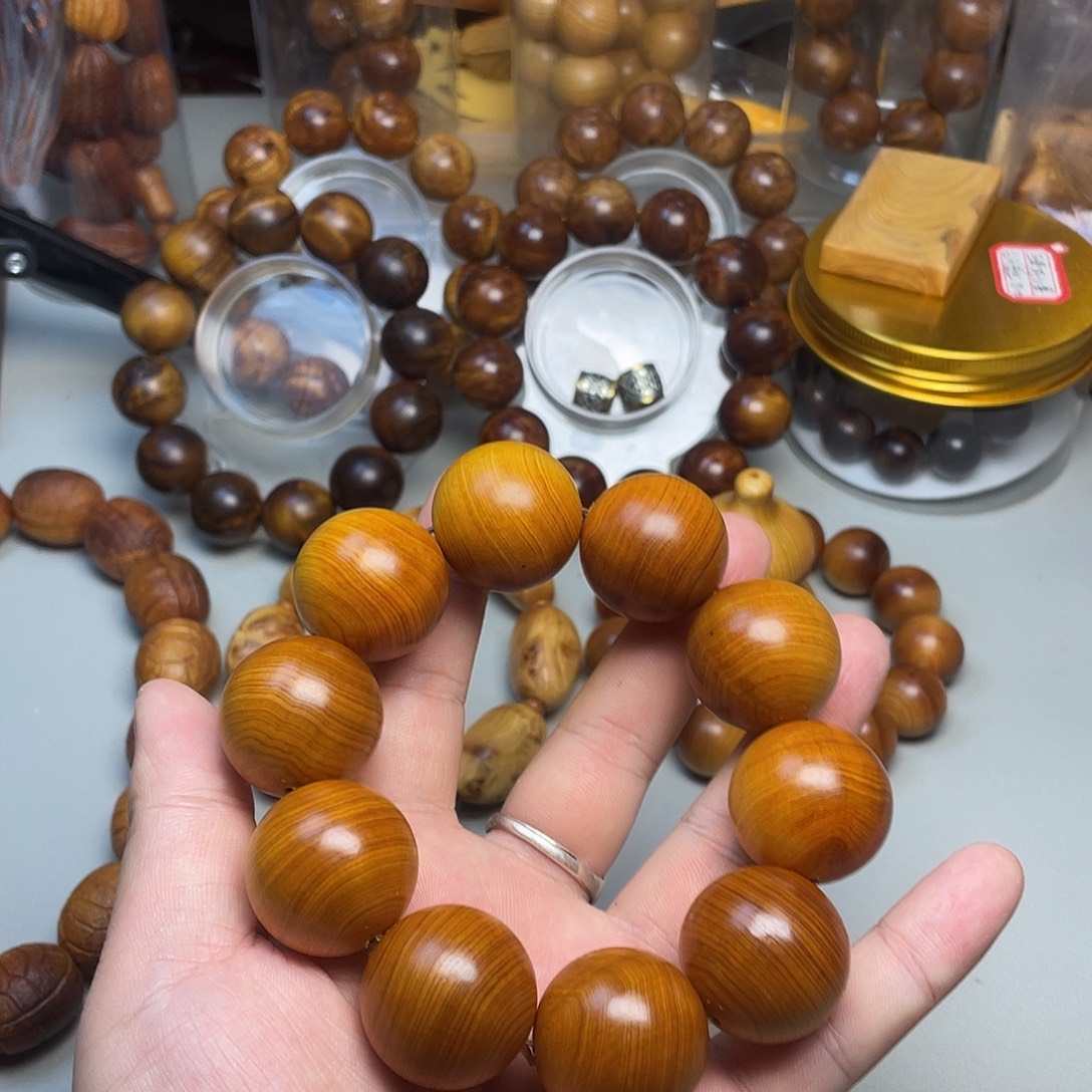 柏木（崖柏）太行崖柏2.5