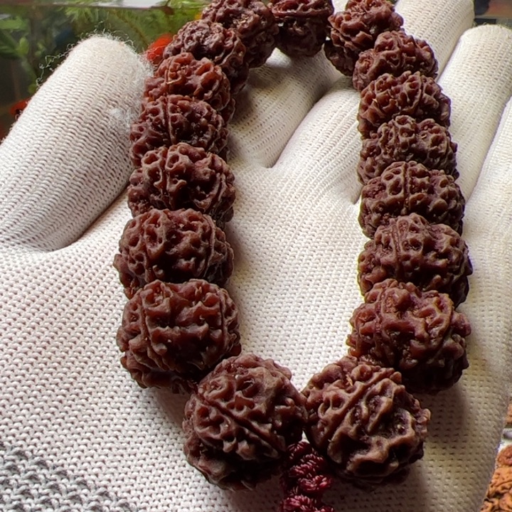 金刚菩提手串18梅花双龙蜂窝超头